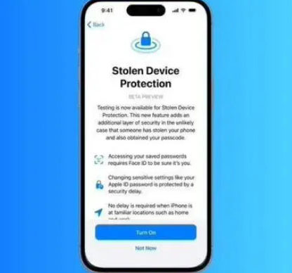 广阳苹果授权维修店分享被盗设备保护功能开启方法 