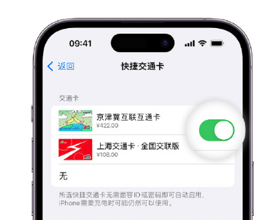 广阳apple维修点分享iPhone上更换Apple Pay快捷交通卡手绘卡面 