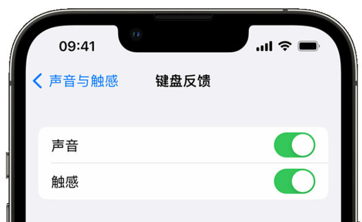 广阳苹果手机维修分享iPhone 14触感键盘使用方法 