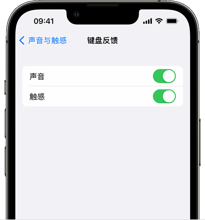 广阳苹果14维修店分享如何在 iPhone 14 机型中使用触感键盘 