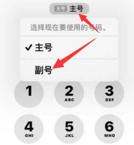 广阳苹果14维修店分享iPhone 14 Pro Max使用副卡打电话的方法 