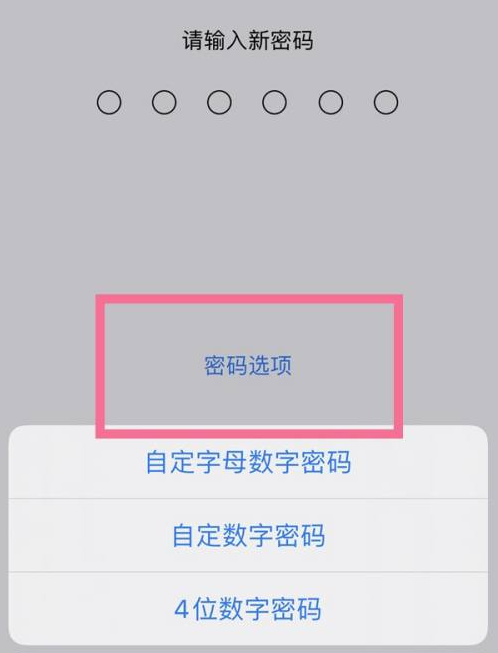 广阳苹果14维修分享iPhone 14plus设置密码的方法 