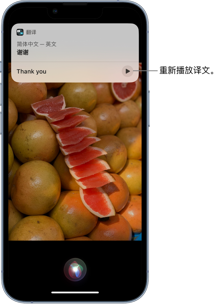 广阳苹果14维修分享 iPhone 14 机型中使用 Siri：了解 Siri 能帮你做什么 