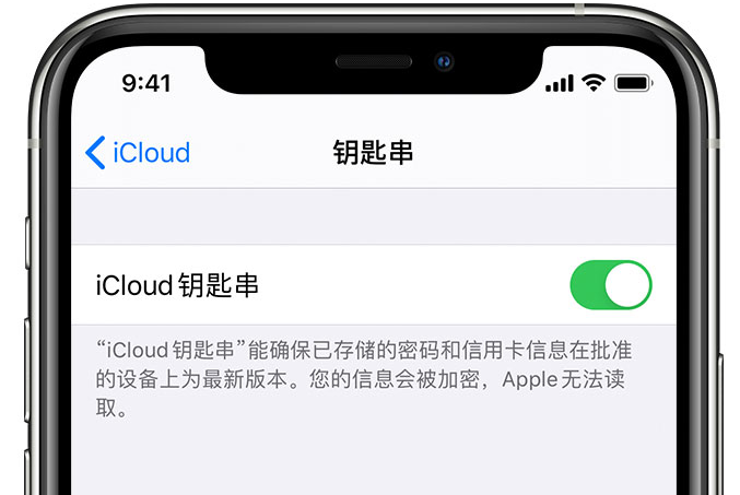 广阳苹果手机维修分享在 iPhone 上开启 iCloud 钥匙串之后会储存哪些信息 