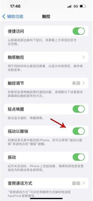 广阳苹果手机维修分享iPhone手机如何设置摇一摇删除文字 