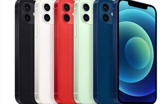 广阳苹果维修点分享iPhone12 Pro Max进水维修 